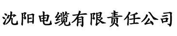 理性的碰撞美国电缆厂logo